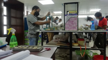 Busy lab